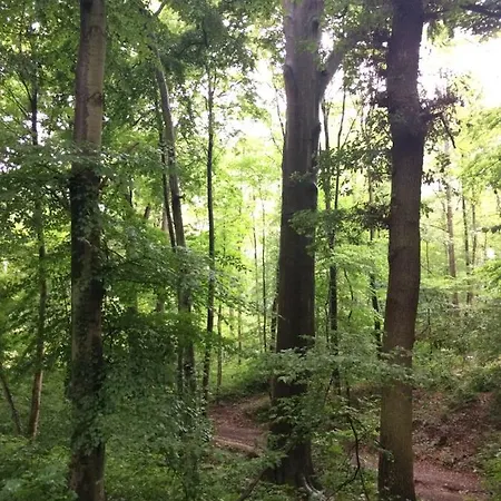 Eifel-lounge Blockhaus Mit Kamin Garten Balkon Nahe Koeln Therme Bruehl Phantasialand * Weilerswist