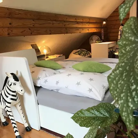 Eifel-lounge Blockhaus Mit Kamin Garten Balkon Nahe Koeln Therme Bruehl Phantasialand *
